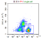 Anti-huCD3E Image 2