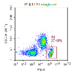 Anti-huCD4 Image 2