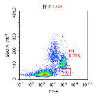 Anti-huCD34 Image 1