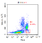 Anti-huCD34 Image 2