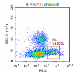 Anti-huCD56 Image 1