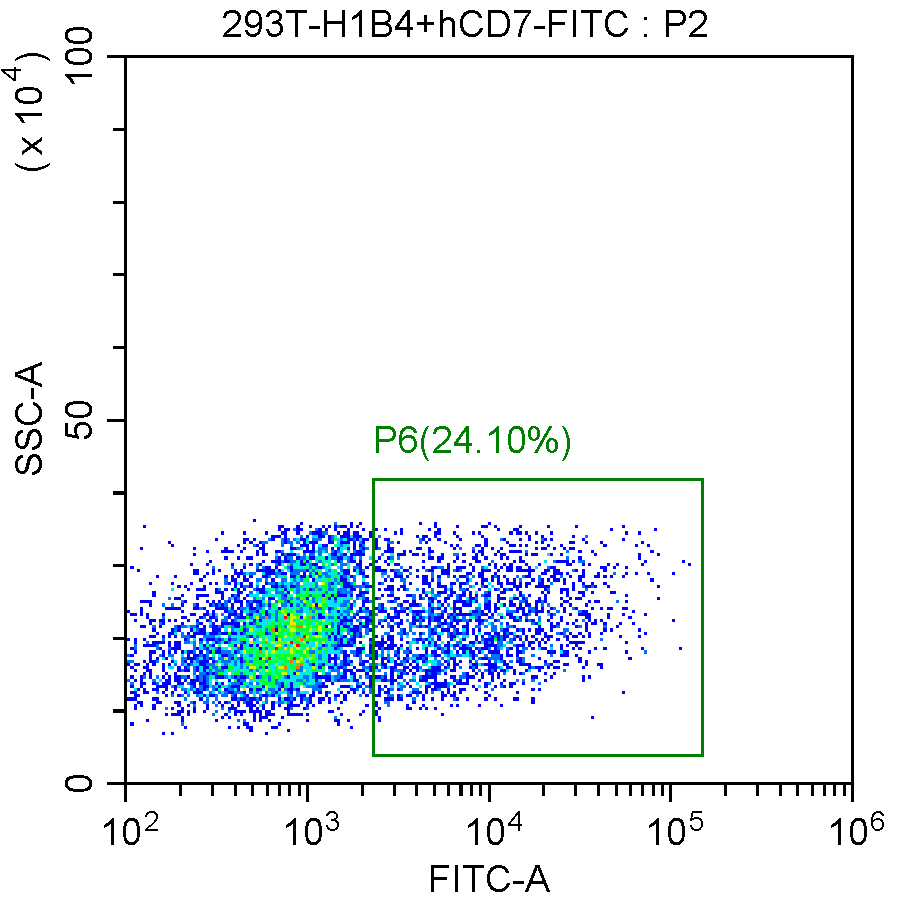 VHH2 Recombinant Target Protein